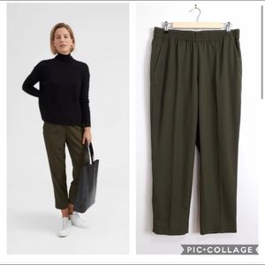 Everlane Wool Italian GoWeave Easy Pants Sz 10